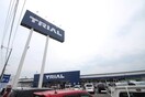 トライアル行橋店(スーパー)まで800m ヴァンベ－ル