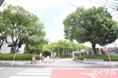 九州大学(大学/短大/専門学校)まで207m ｴﾌﾊﾟﾙｸ大橋Ⅱ