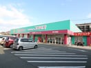 コスモス岸の浦店(ドラッグストア)まで170m グランハイアット