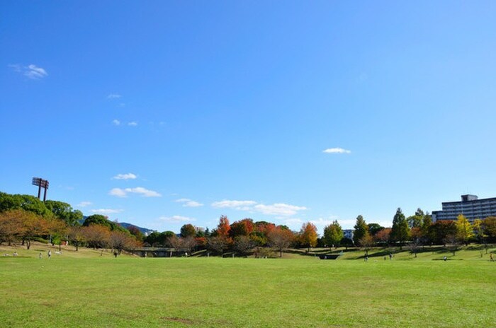 春日公園(公園)まで1440m ＳＵＮ紅葉ヶ丘