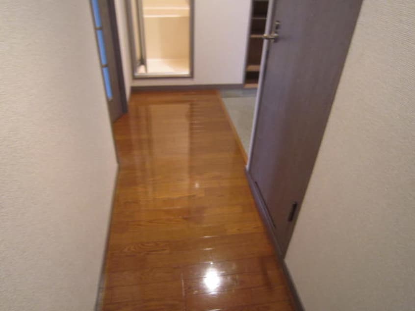 廊下 ウィステアリア