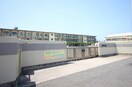 若松中央小学校(小学校)まで750m ウェルハイツ