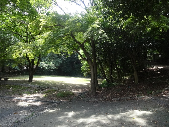 赤坂緑地(公園)まで450m シスタス赤坂