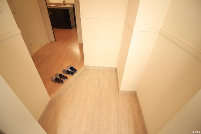 玄関 ピュアルミナス