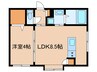 仮）ティアナ 1LDKの間取り