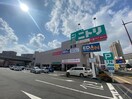 ニトリ 小倉北店(電気量販店/ホームセンター)まで650m シャーメゾンステージ片野