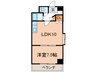 ウィンズ三萩野 1LDKの間取り