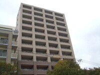 サヴォイ　グランデス(903)