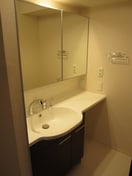 洗面 パレスプリメーロ