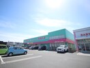 コスモス(ドラッグストア)まで700m サニ－タウン曽根Ｂ