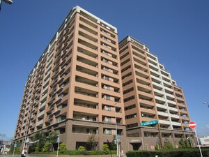 MJR和白丘（408）