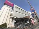イオンモール(ショッピングセンター/アウトレットモール)まで600m グレイス二日市壱番館(408)