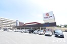 マルキョウ野中町店(スーパー)まで852m やすらぎビル