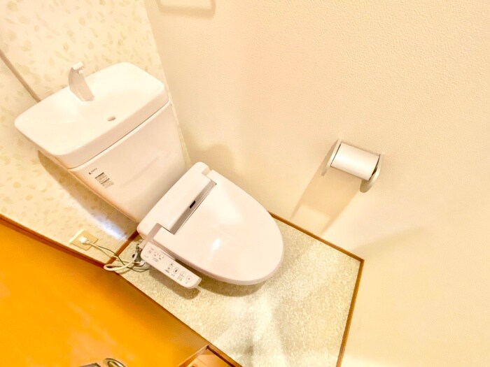 トイレ ギャラン穴生