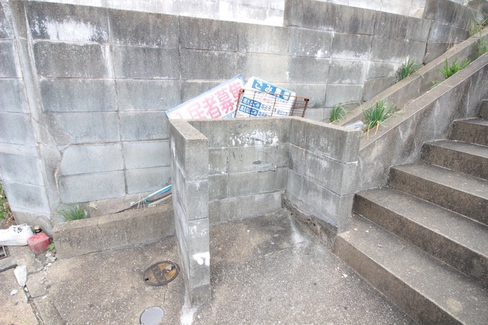 その他 カンステレイションⅡ