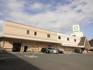 マルショク富野店(スーパー)まで700m ＮＡＤＹＡ上富野