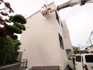 建築中 オーガナイズツリー