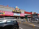 ドン・キホ－テ黒崎店(ディスカウントショップ)まで650m 東洋レジデンス青山