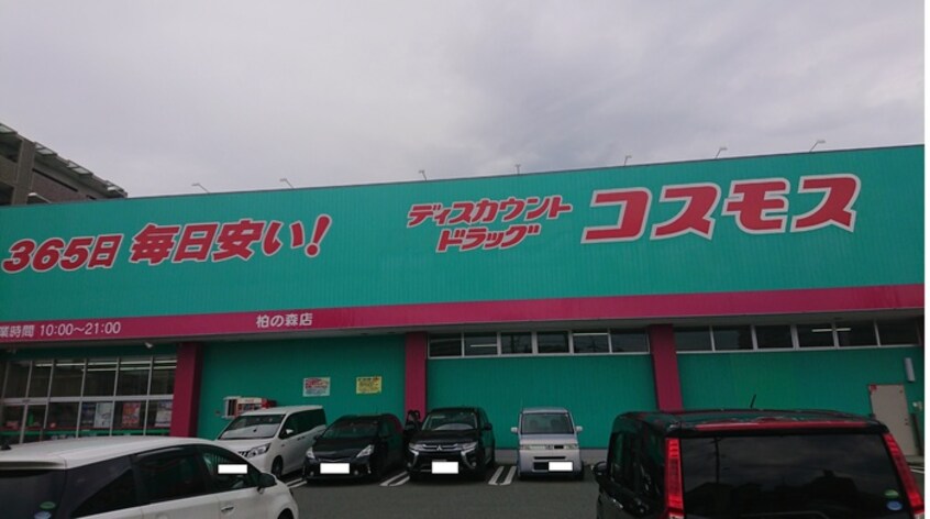 ディスカウントドラッグコスモス柏の森店(コンビニ)まで803m ライフマンション飯塚