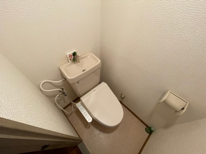 トイレ アメジスト大橋壱番館