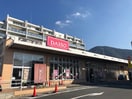 ダイソーマルショク重住店(100均)まで720m オアシス霧ヶ丘Ⅲ