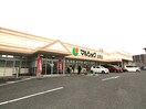 マルショク企救丘店(スーパー)まで1330m ファミ－ユ石田Ⅱ　Ｂ