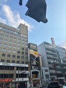 ドン・キホーテ(ディスカウントショップ)まで250m プレール東千石