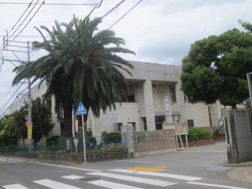 大野小(小学校)まで744m ル－セント白木原