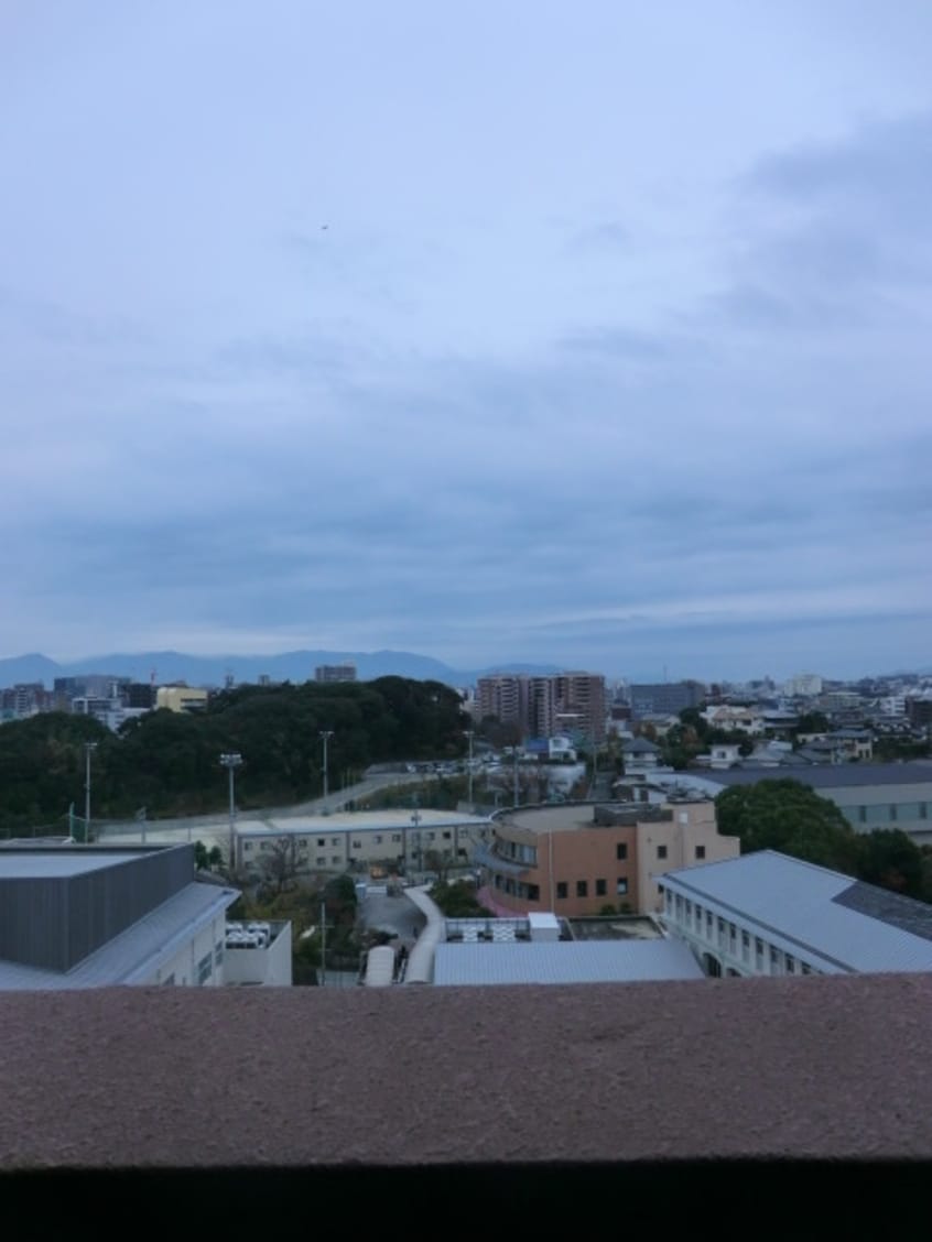 室内からの展望 ルネッサンス２１赤坂けやき通り