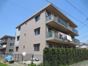 ヴィオラＢ