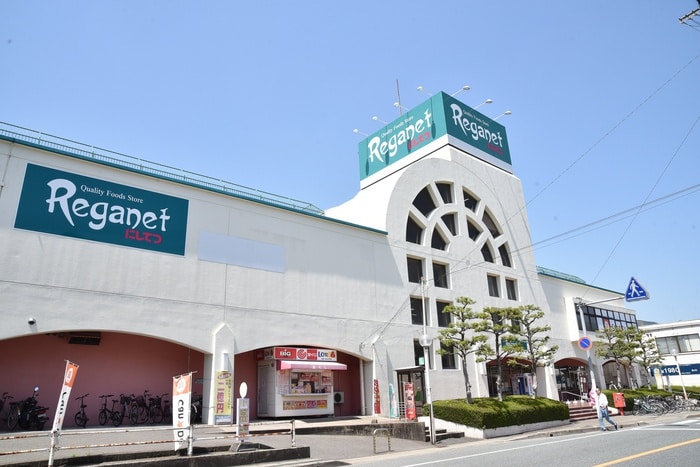 レガネット(ショッピングセンター/アウトレットモール)まで250m JANE　HOUSE