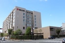 福岡赤十字病院(病院)まで1304m エスティアム高宮東