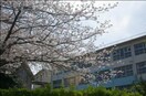 黒畑小学校(小学校)まで377m 仮)シャーメゾン西鳴水