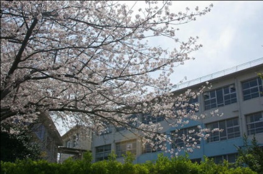 黒畑小学校(小学校)まで377m シャーメゾン西鳴水