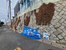 その他 コーポ黒原