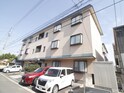 完成写真