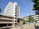 西南学院大学(大学/短大/専門学校)まで700m テングッド城西Ⅱ