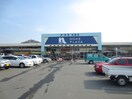 ナフコ志免店(電気量販店/ホームセンター)まで950m エコパティオ志免東　D