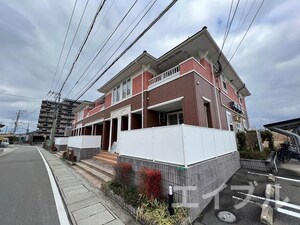 ボニート　ブローテ１