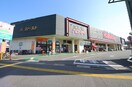 ハローデイ　次郎丸店(スーパー)まで430m フォブール楠原