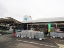 ホームプラザナフコ徳力店(電気量販店/ホームセンター)まで1140m オリザ弥生