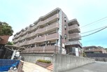 アビタシオン花の樹