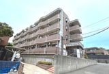 アビタシオン花の樹