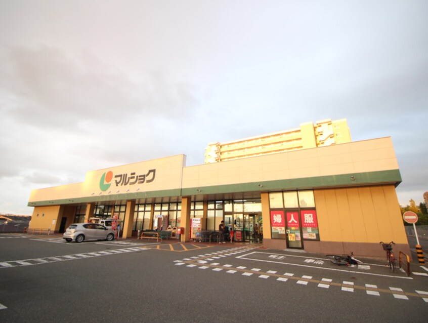 マルショク空港東店(スーパー)まで687m プロニティ空港前