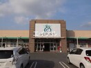 サニー加布里店(スーパー)まで1100m シャンフレーズ壱番館