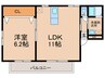 ラポール新照院 1LDKの間取り