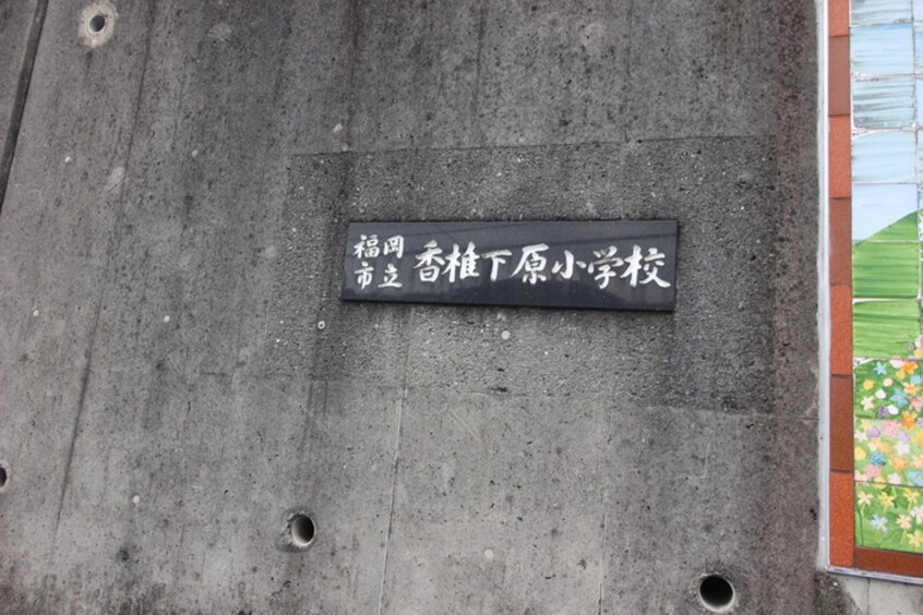 香椎下原小学校(小学校)まで290m クレセント荒牧