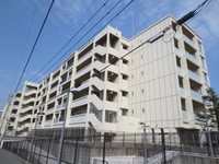アンピール千早駅南(509)