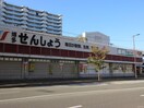 せんしょう千代店(スーパー)まで240m ダイナコート県庁前(901)