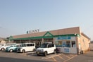 サニー(スーパー)まで350m 荒牧ハイツ